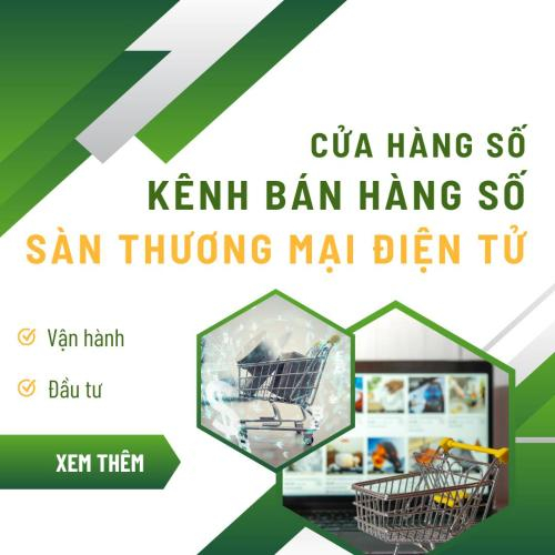 Sàn Thương Mại Điện Tử, Kênh Bán Hàng Số, Cửa Hàng Số