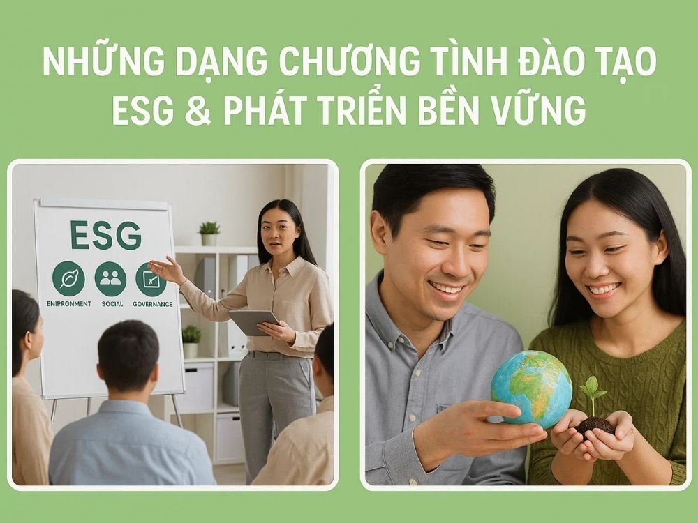 1) Những dạng chương trình đào tạo ESG & phát triển bền vững