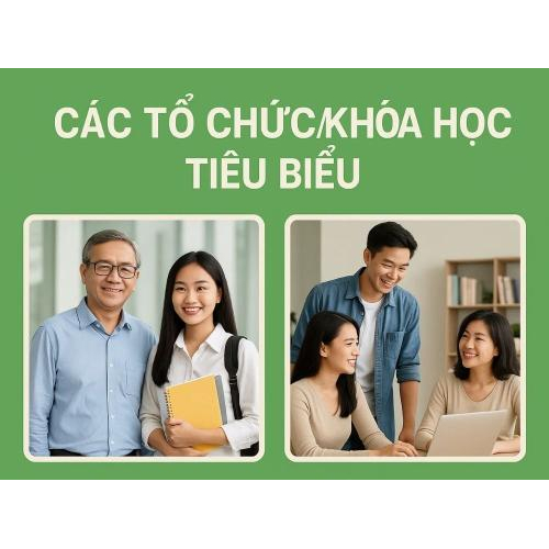 2) Các tổ chức/khóa học tiêu biểu