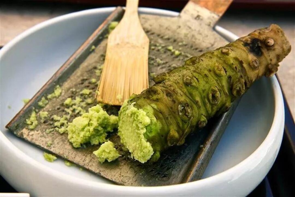 Hầu hết wasabi ở siêu thị thực chất là cải ngựa