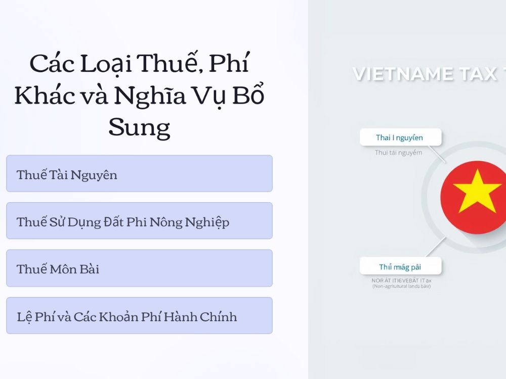 3. Các loại thuế, phí khác: nghĩa vụ bổ sung trong quá trình hoạt động