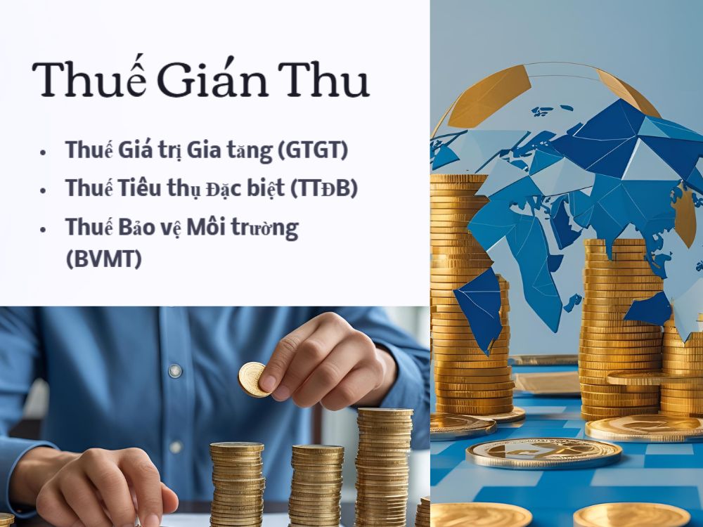 2. Thuế gián thu: người tiêu dùng chịu nhưng doanh nghiệp kê khai