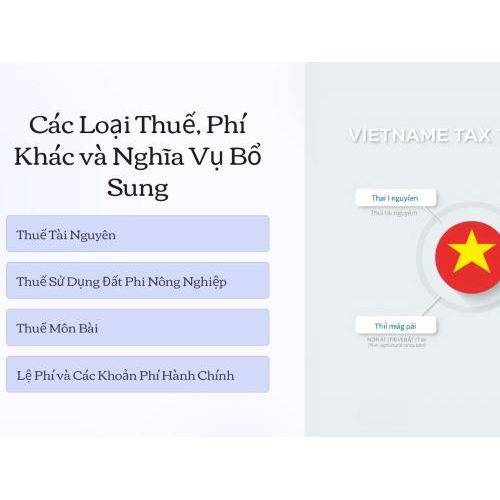 3. Các loại thuế, phí khác: nghĩa vụ bổ sung trong quá trình hoạt động