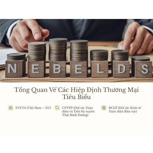 1. Tổng Quan Về Các Hiệp Định Thương Mại Tự Do Mà Việt Nam Đã Tham Gia