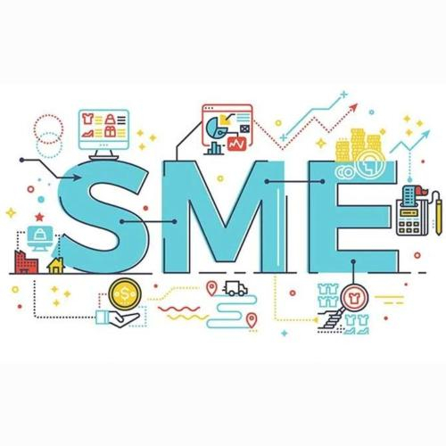 Chiến Lược Hội Nhập Của Doanh Nghiệp Vừa Và Nhỏ (SMEs)
