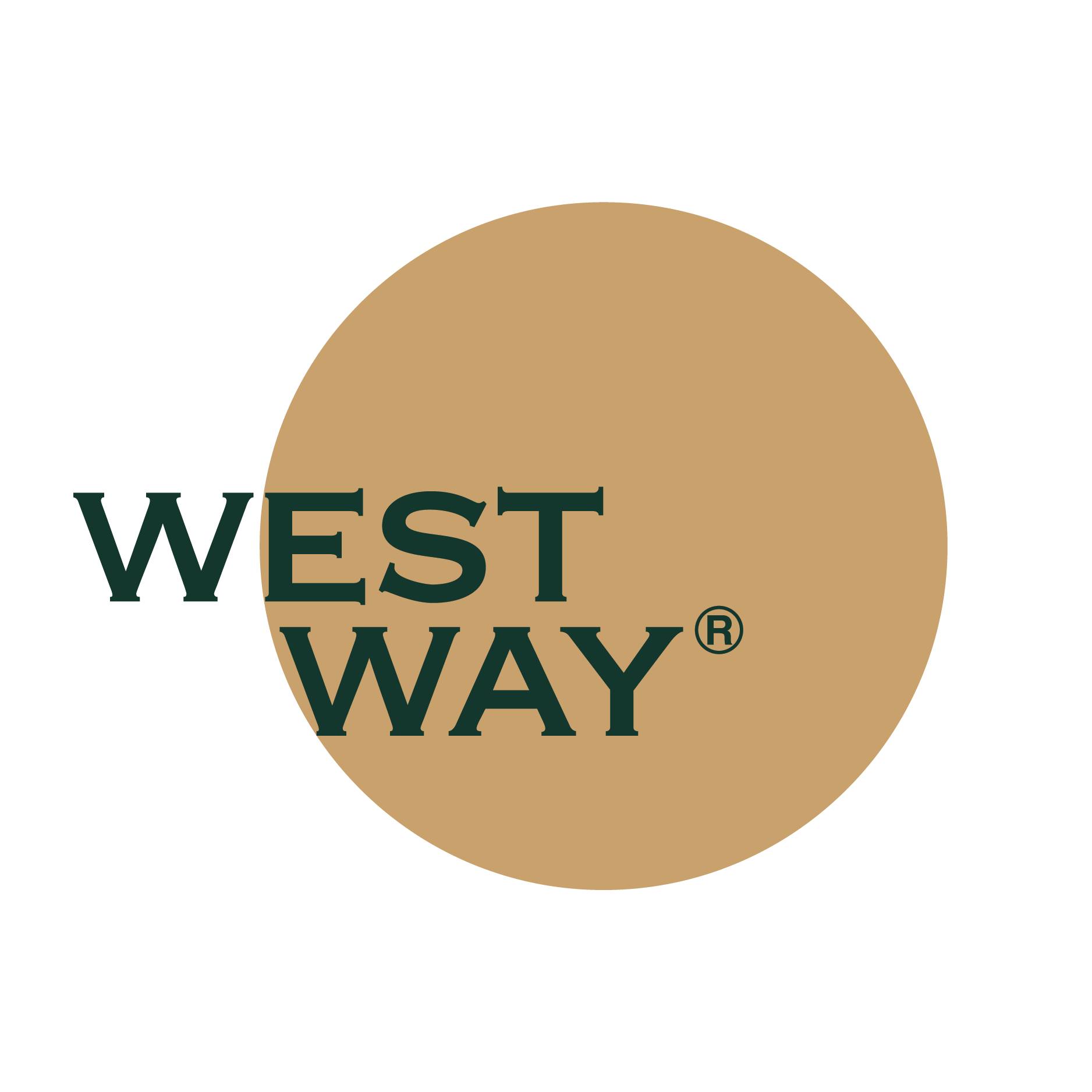 Westway - Niềng răng chuyên sâu