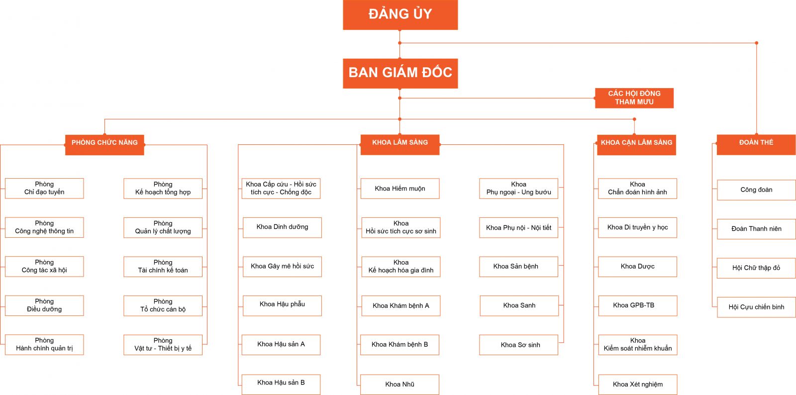 Sơ đồ tổ chức