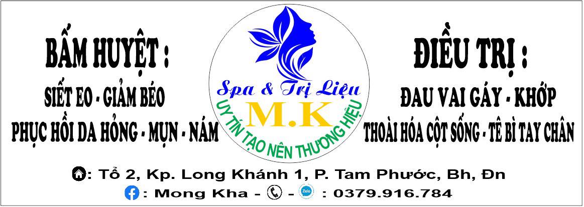 1. Giới thiệu chung về MK-spa