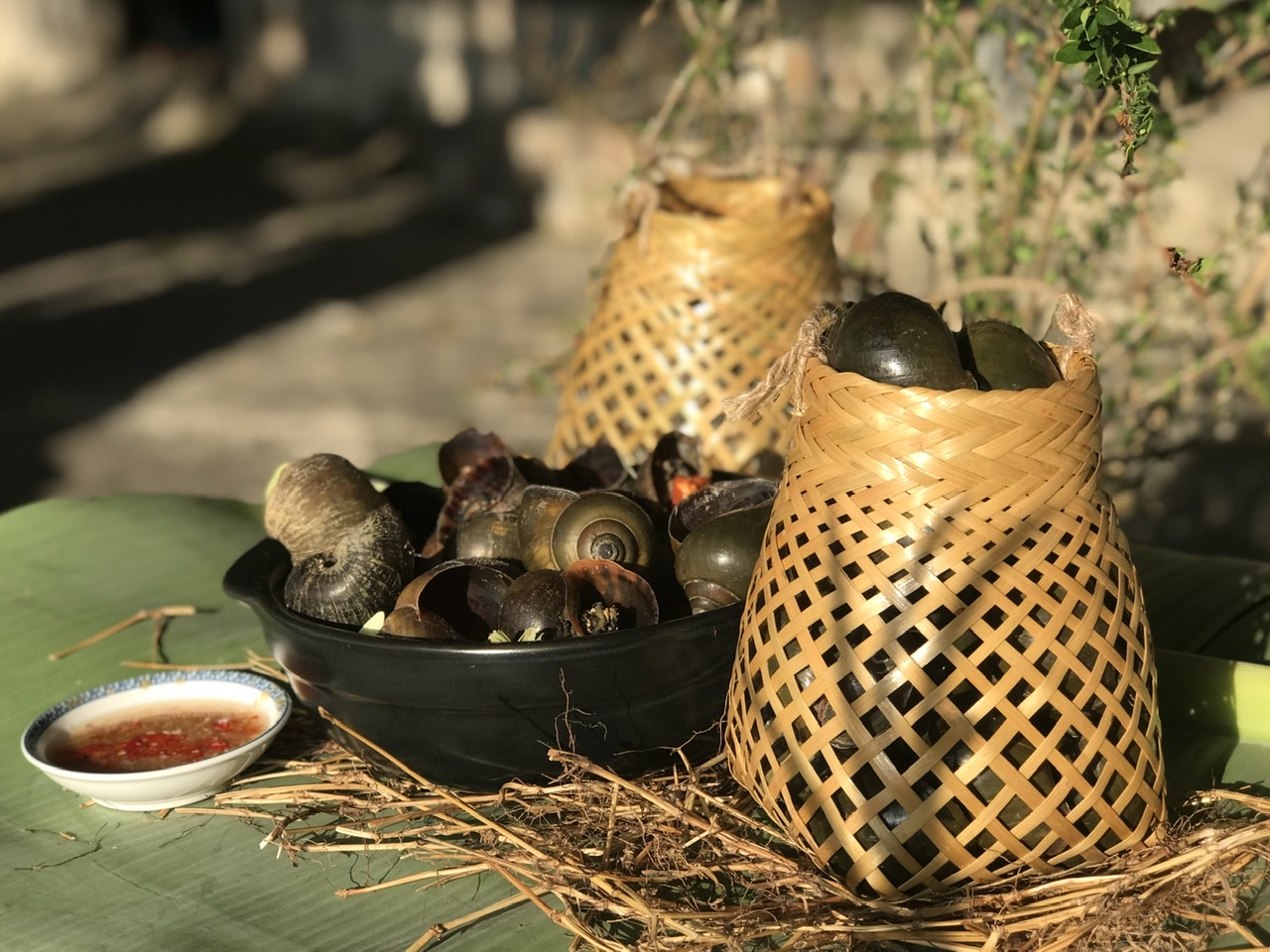 Lựa chọn ốc bươu tươi, sạch