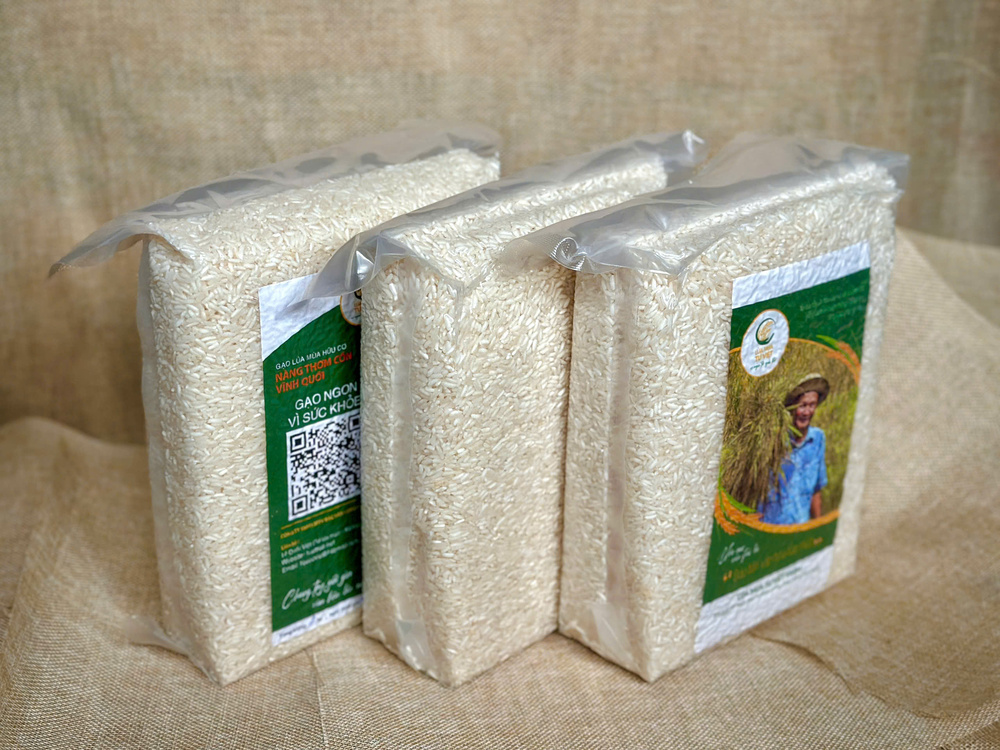 Kiểm tra dị ứng