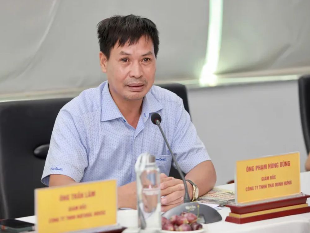 2. Vai trò và mục đích tham gia của ông Phạm Hùng Dũng - Đại diện HST Thái Minh Hưng