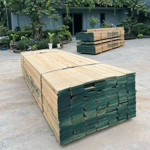Gỗ Sồi Đỏ
