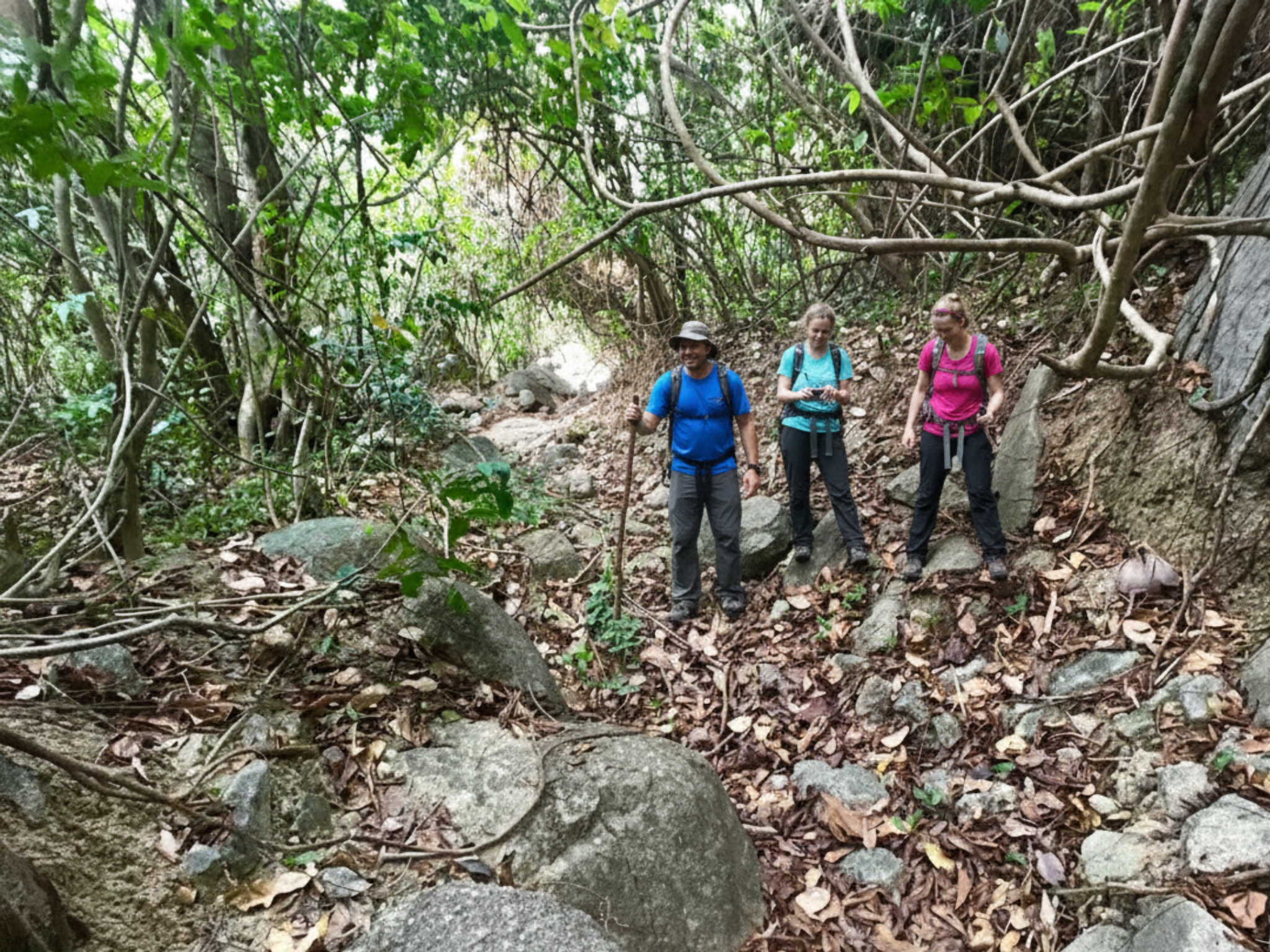 Hành trình trekking 30 phút đầy cảm hứng