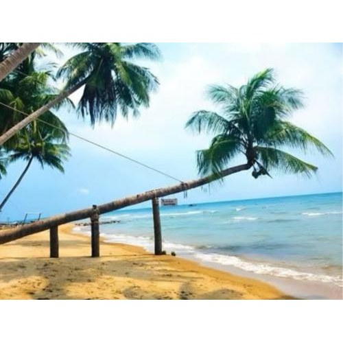 Bãi Tắm Bãi Bàng Hòn Sơn: Vẻ Đẹp Hoang Sơ - Biển Xanh Trong Như Ngọc