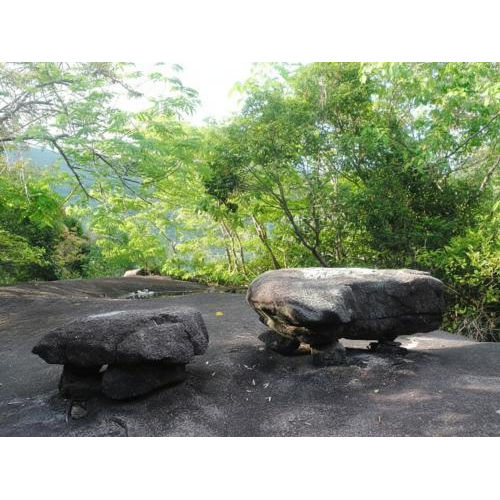 Đỉnh Ông Rồng Hòn Sơn: Thử thách Trekking Rồng Thiêng