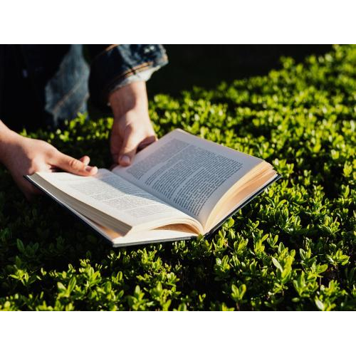 2. Học tập sáng tạo – nền tảng hình thành nguồn lực xanh