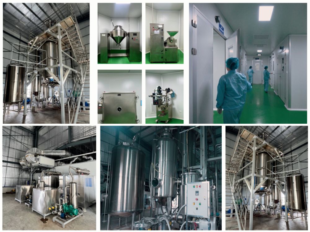 III. Cơ sở sản xuất