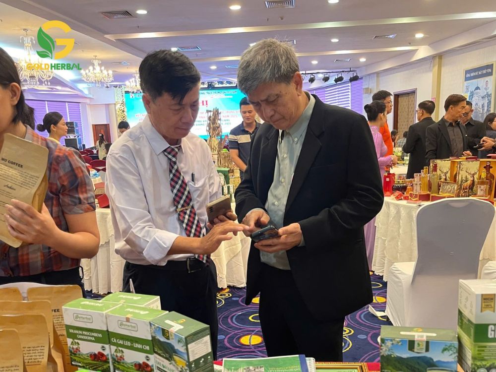 II. Sứ mệnh – Tầm nhìn – Quy mô