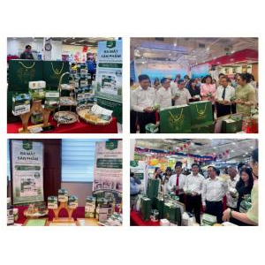 VII. Sứ mệnh hội nhập