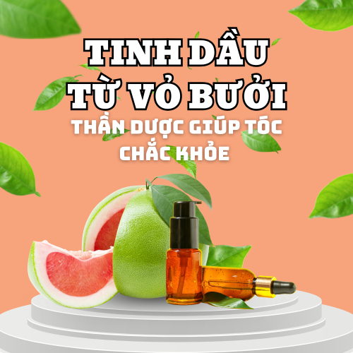 Cách Làm Tinh Dầu Từ Vỏ Bưởi Tại Nhà