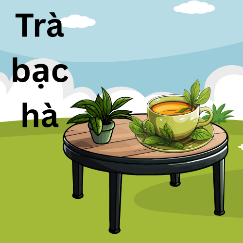 Lợi Ích Tuyệt Vời Của Trà Bạc Hà Đối Với Cơ Thể