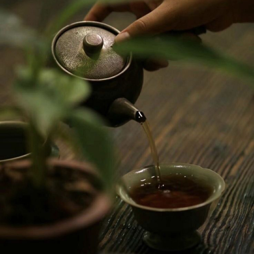Trà – Một Hành Trình Văn Hóa Băng Qua Các Châu Lục