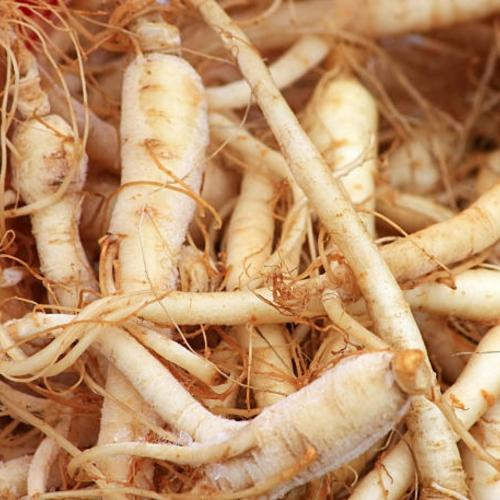 Một Số Tác Dụng Của Nhân Sâm Đối Với Sức Khỏe Của Con Người