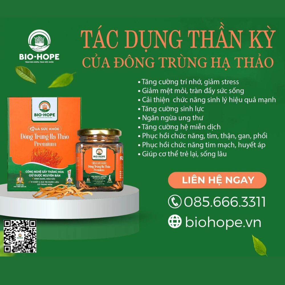Vì Sao Đông Trùng Hạ Thảo Được Gọi Là "Thần Dược”?