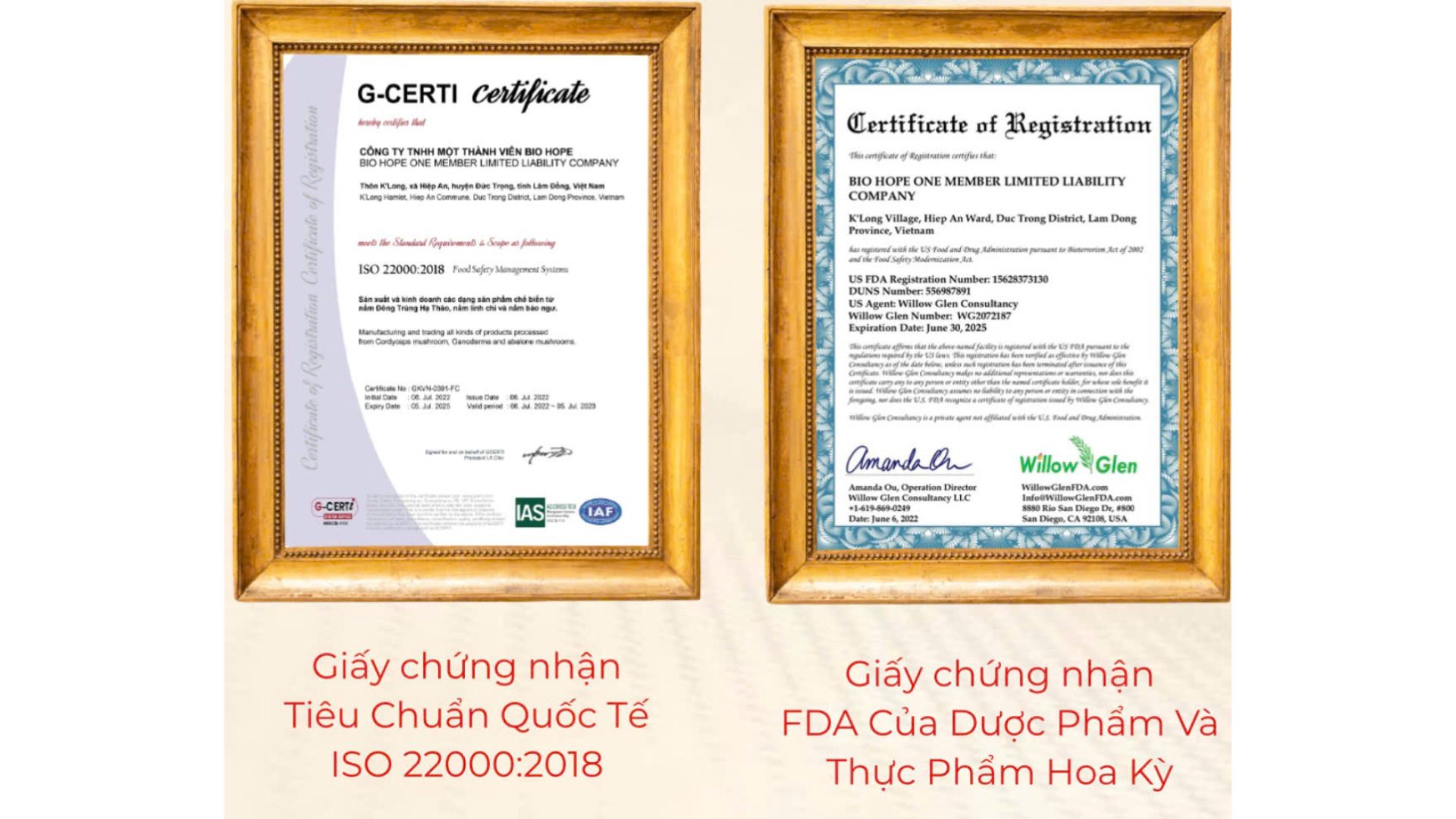 4. Thương hiệu & chứng nhận