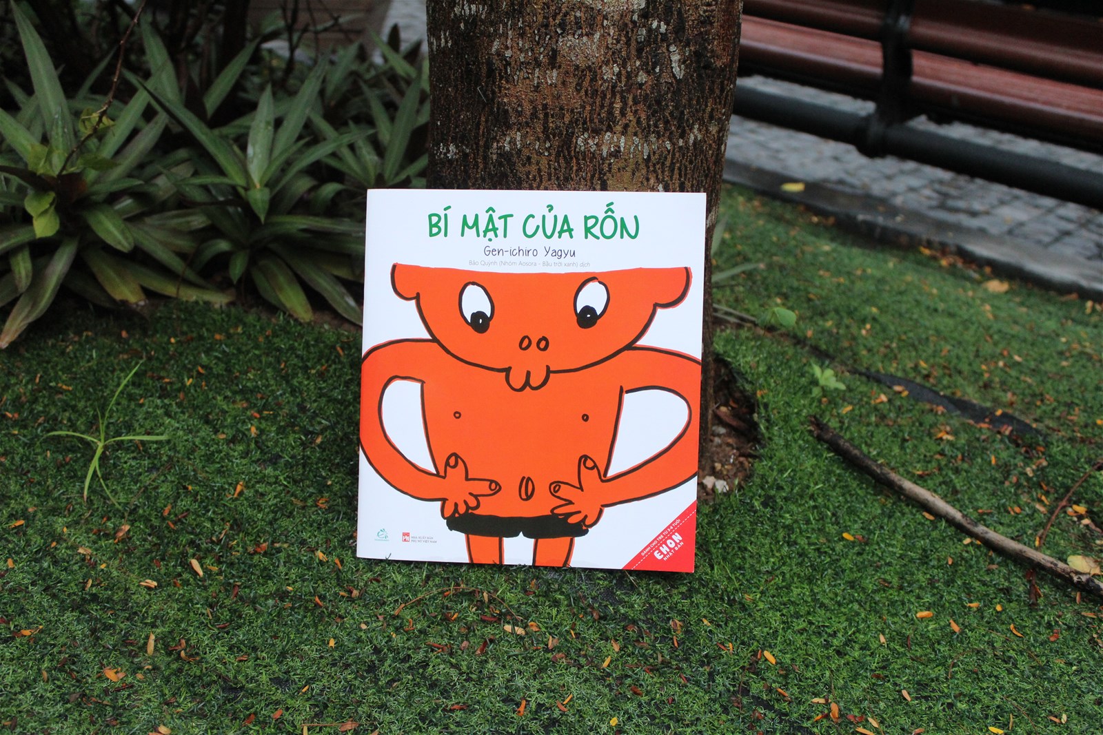 5. Bí mật của rốn