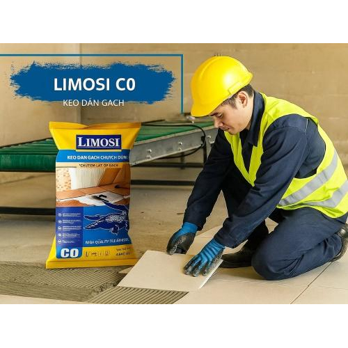 2. Sự chăm chút cho công trình