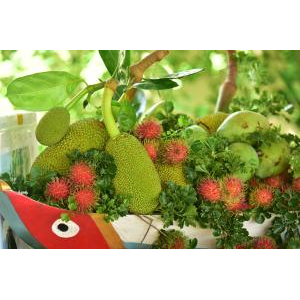 Một số hình ảnh hoạt động: