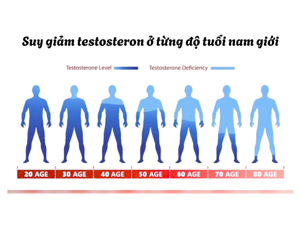 2. Nam giới ở tuổi 40 sẽ như thế nào?