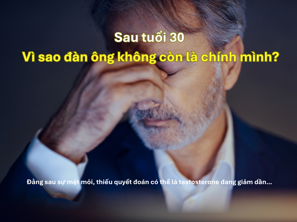 I. Giới thiệu