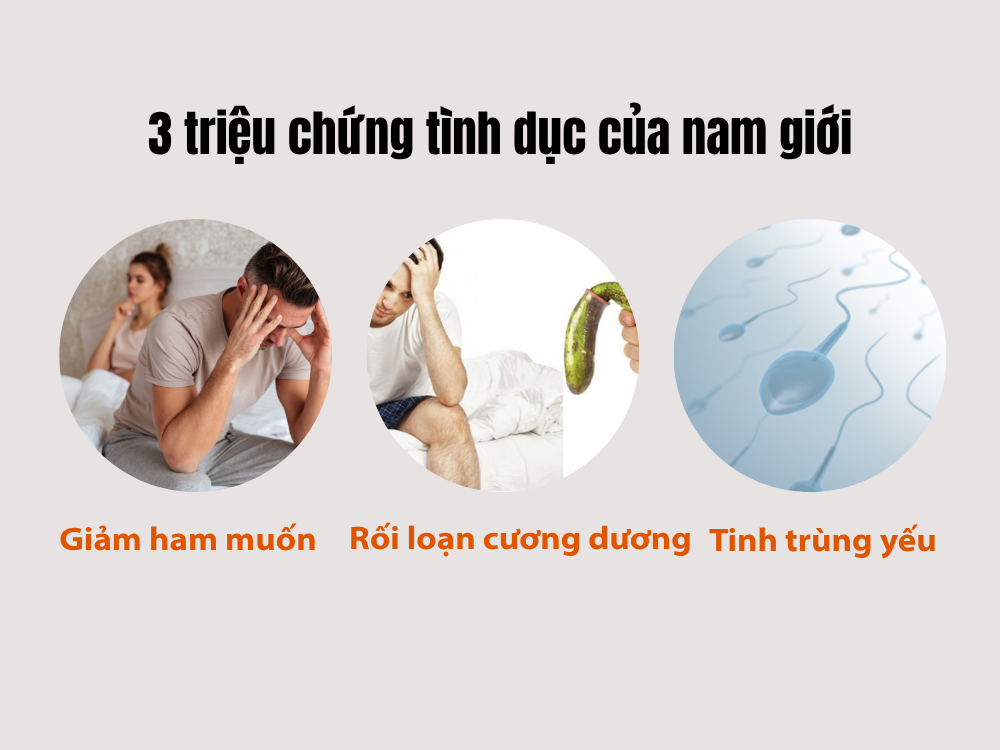 3 triệu chứng tình dục của nam giới