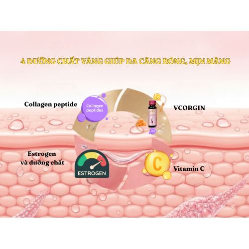 II. Dưỡng chất cần thiết giúp da căng bóng, mịn màng