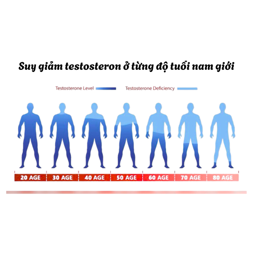 2. Nam giới ở tuổi 40 sẽ như thế nào?