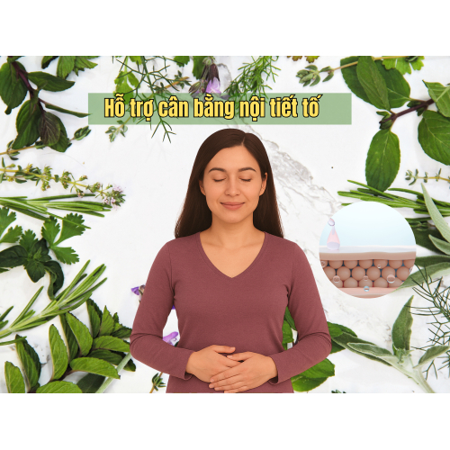 3. Hỗ trợ cân bằng nội tiết tố, đặc biệt ở phụ nữ