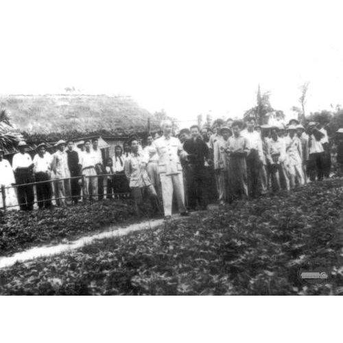 2. Nguyễn Thị Thanh không lập gia đình riêng?