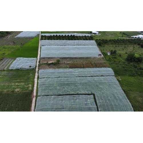 2. Mô Hình Tiêu Biểu Trồng Cây Táo – Năng Suất Vượt Trội