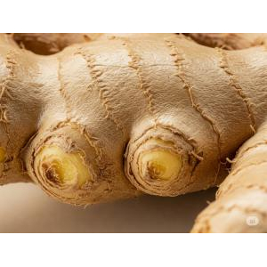Top 7 Loại Dược Liệu Có Trong Dầu Xoa Bóp