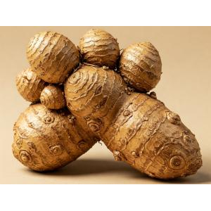Top 7 Loại Dược Liệu Có Trong Dầu Xoa Bóp