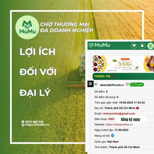 Lợi Ích Của MuMu Đối Với Đại Lý