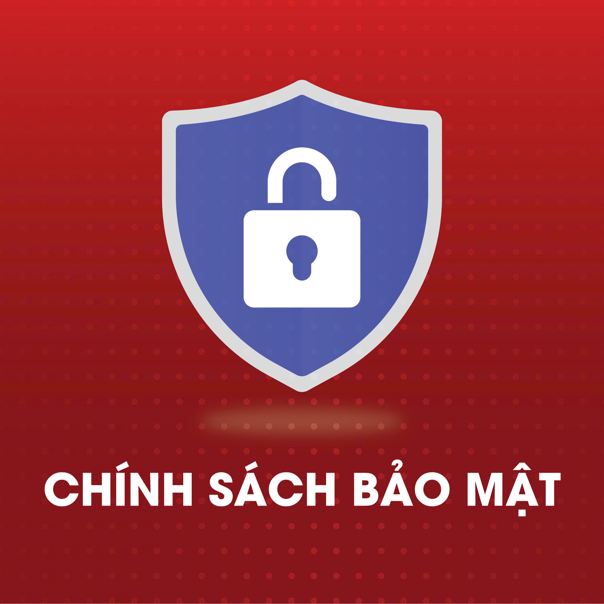 9288956cHdC2D9D Chính Sách Bảo Mật