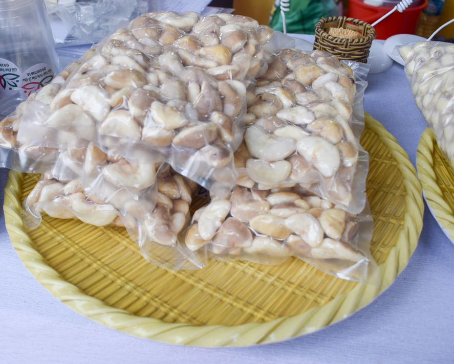 Món Quà Quê Giữa Dòng Chảy Hiện Đại