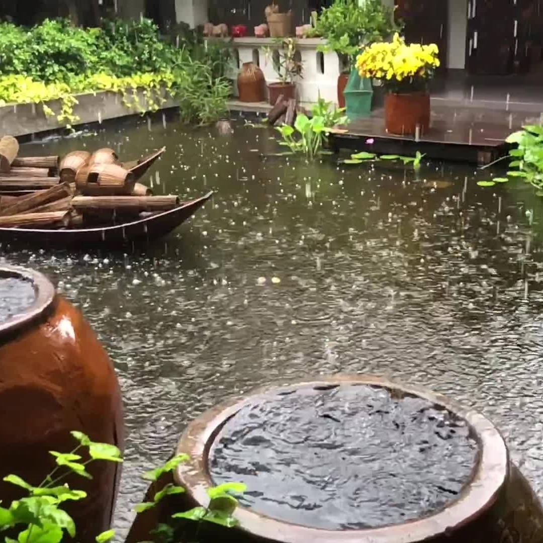 Lu nước và Ký Ức Mùa Nước Nổi Miền Tây Xưa: Hồn quê còn đọng lại ?