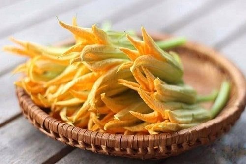 Bông Bí Vàng: "Quà Tặng" Tinh Khiết Từ Mảnh Vườn Quê