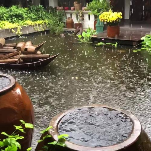 Lu nước và Ký Ức Mùa Nước Nổi Miền Tây Xưa: Hồn quê còn đọng lại ?