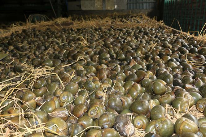 Ẩm thực của sự kiên nhẫn và đãi bôi