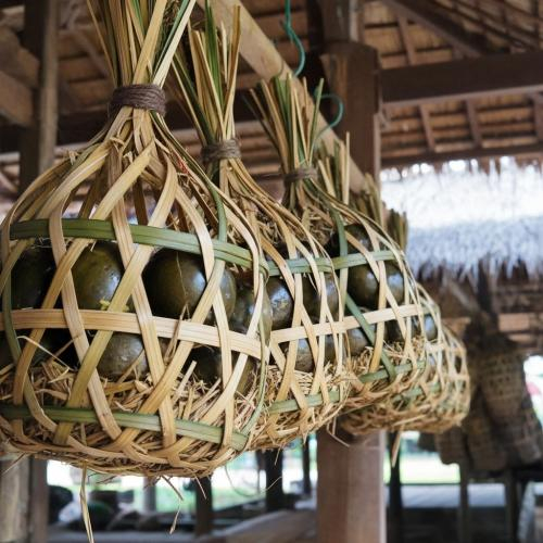 Ốc Treo Gác Bếp: "Báu Vật" Ngủ Vùi Trong Khói Lam Chiều Và Ký ức Bếp Miền Tây